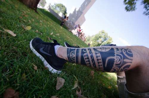 Tattoo Leg Black Man Nike Grass Nature Person