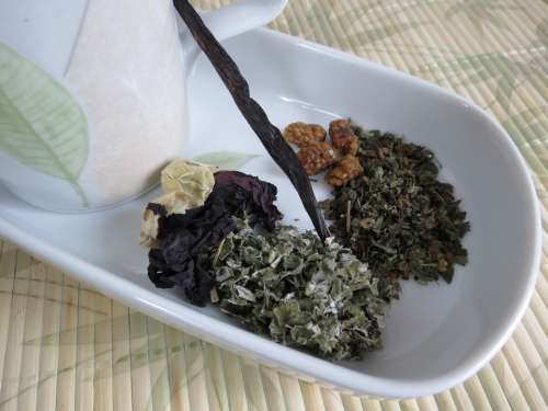 Tea Herbs Vanilla Green Morus Alba Mallow Mug