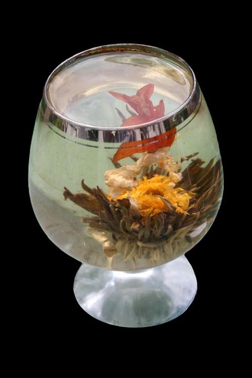 Tea Flower Glass Asia Tee Decoration Isolated