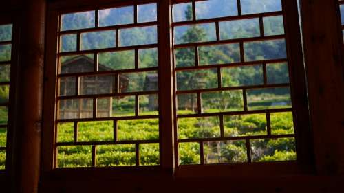 Tea House Window Green