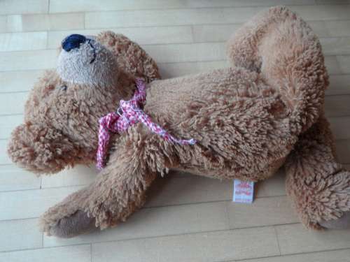 Teddy Careless Thrown Away Leave Lonely Sad