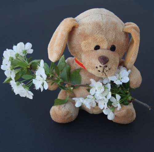 Teddy Dog Stuffed Animal Ill Flowers Sad Arm