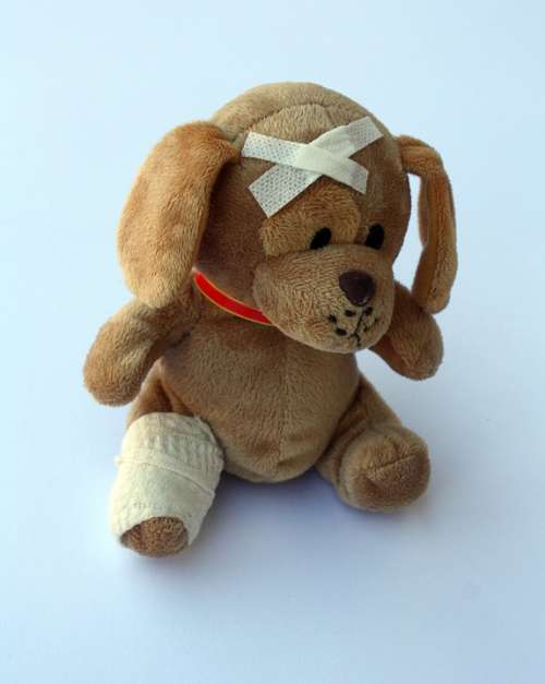Teddy Dog Stuffed Animal Ill Injured Fever Broken