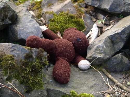 Teddy Teddy Bear Lost Thrown Away Sad Washed Up On