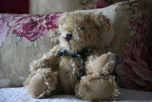 Teddy Cute Bed Toy Childhood Sweet Soft Fluffy
