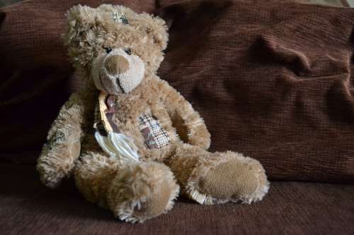 Teddy Bear Bears Misiak Plush Toy Toys