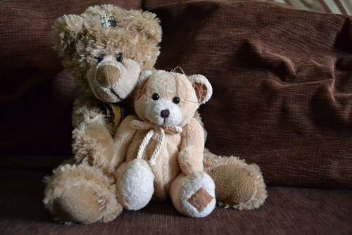 Teddy Bear Bears Misiak Plush Toy Toys