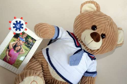 Teddy Bear Plush Toy Cute Bear