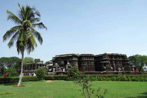 Temple Hindu Religion Coconut Tree