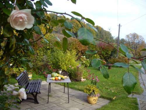Terrace Bank Cozy Autumn Roses Nature Table