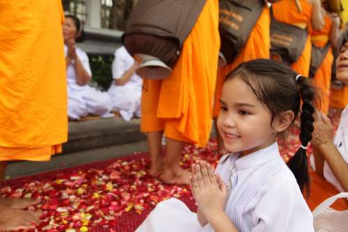 Thailand Girl Buddhists Monk Walk Rose Petals