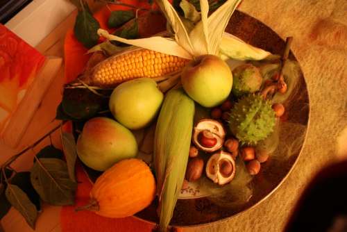 Thanksgiving Chestnut Apple'S Plate Autumn Case