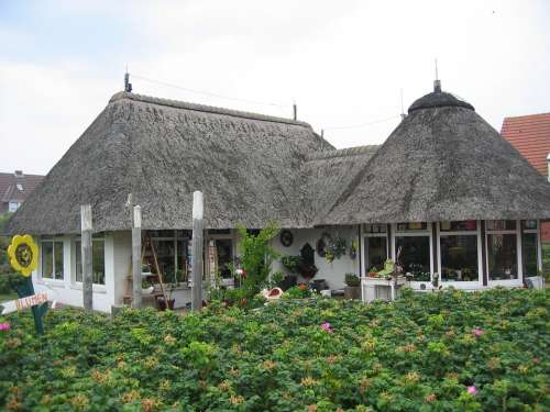 Thatched Roof Thatched House Pretty Decorative