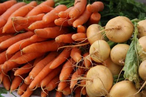 The Carrot Turnip Vegetarian Vegetable