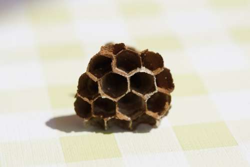 The Hive Combs Empty Hexagon Hexagonal