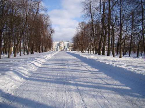 The Palace Ensemble Tsarskoe Selo Russia Alley Trees