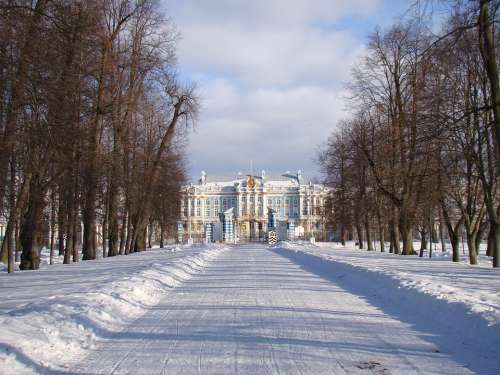 The Palace Ensemble Tsarskoe Selo Russia Alley Trees