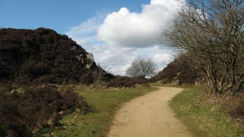 The Path Trail Hill