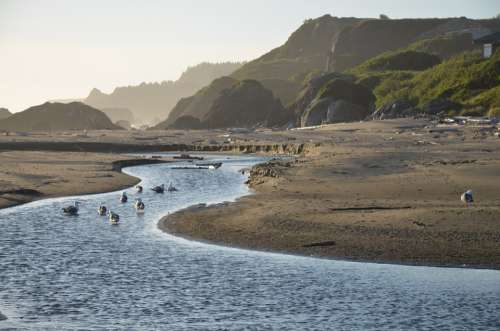 Tide Low Tide Ebb Ebb Tide Stream Ocean Water