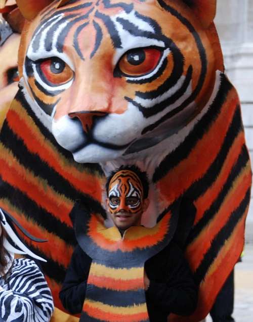 Tiger Mask Costume Parade Face Cat Face Carnival