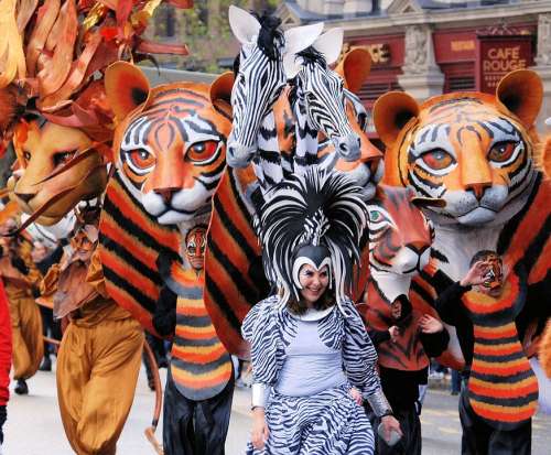 Tiger Mask Costume Parade Face Cat Face Carnival