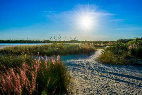 Tigertail Beach Marco Island Sunstar Landscape