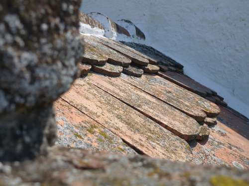 Tile Roof Brick Roofing Building Beaver Tails