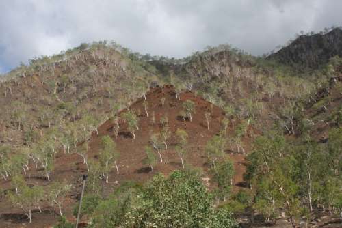 Timor-Leste East Timor Hills Dili Dry Ground
