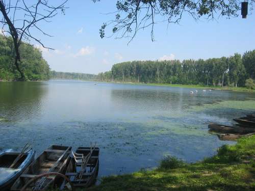 Tisza Water Lake River Southern Hungary Marthely