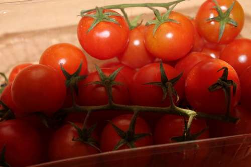 Tomato Trusses Red Vegan Vegetarian