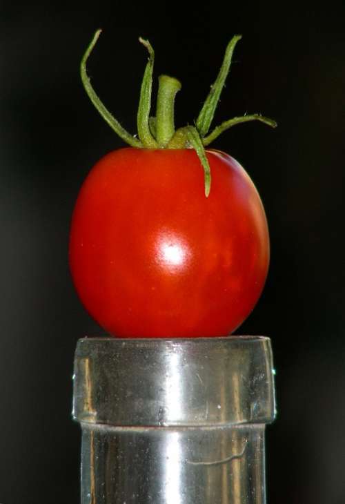 Tomato Fruit Vegetables