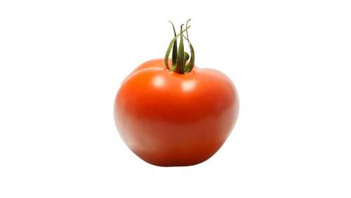 Tomato Vegetable Red Fresh Ripe Salad Healthy