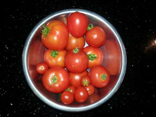 Tomato Fruit Bowl Nutrition Organic Fresh