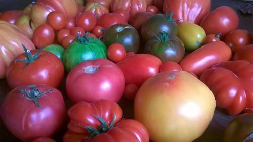 Tomatoes Vegetables Food Diet Raw Food