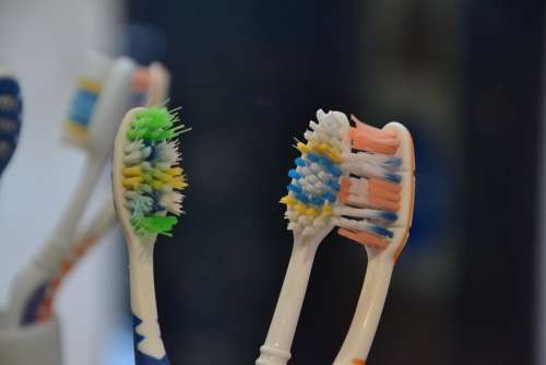 Toothbrush Brush Brushes Wash Brush Your Teeth