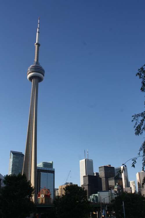 Toronto Cn Tower Tower Building Skyscraper High