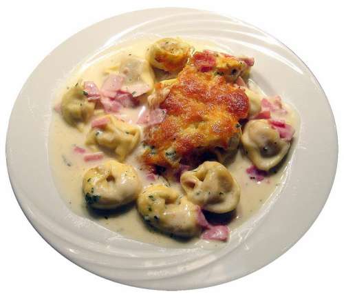Tortellini Noodles Cheese Sauce Scalloped