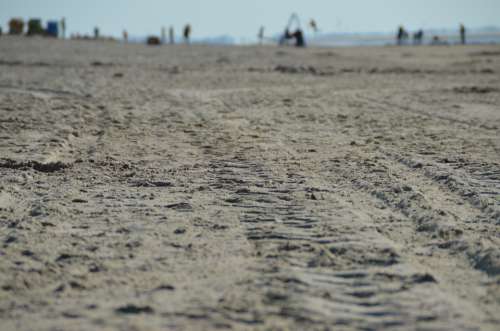 Trace Reprint Mature Sand