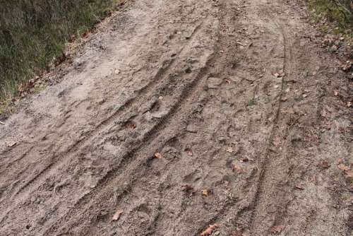 Traces Sand Bike Tracks Footprints Reprint