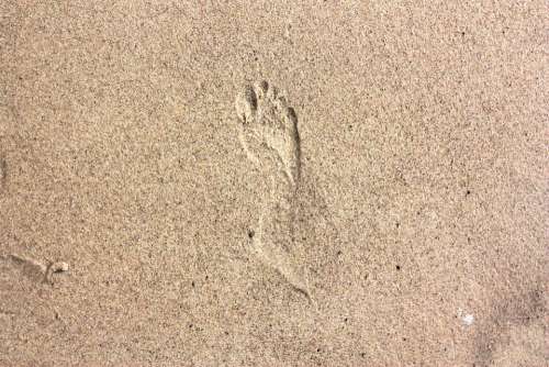 Track Footprint Sand Summer The Rate Of Barefoot