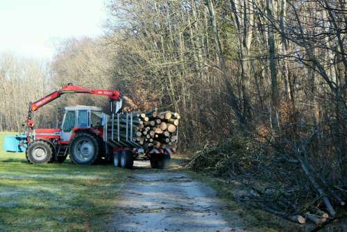 Tractor Tractors Forest Log Trailer Wood