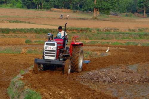 Tractor Tiller Tilling Equipment Agriculture