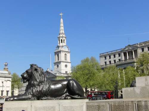 Trafalgar Square London Lion King Lion Kingdom