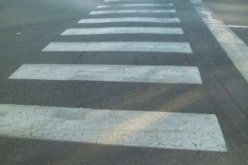 Traffic Signal Zebra Transit Crosswalk
