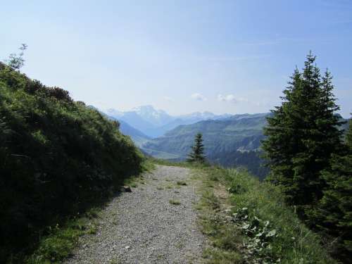 Trail Away Lane Mountains High