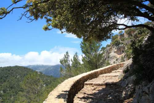 Trail Migratory Path Path Away Hike Nature