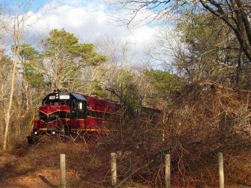 Train Nature Woods Scenic Cape Cod Winter
