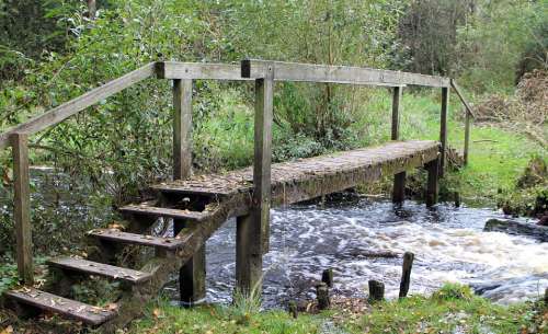 Transition Web Bridge Boardwalk Wooden Bridge