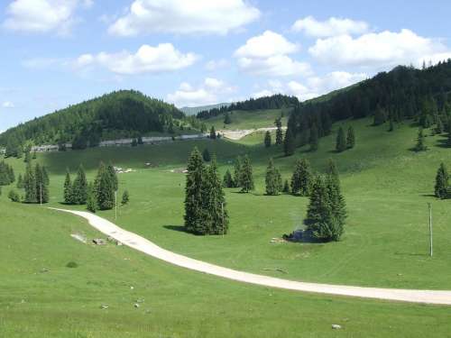 Transylvania Padis Forest Plateau Nature Field