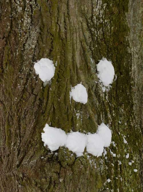 Tree Snow Forest Spirit Tree Face Face Snow Ball